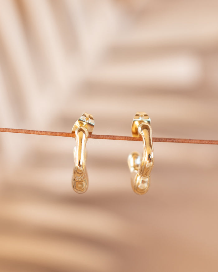Cleni Earrings * Gold Plated * BJE228