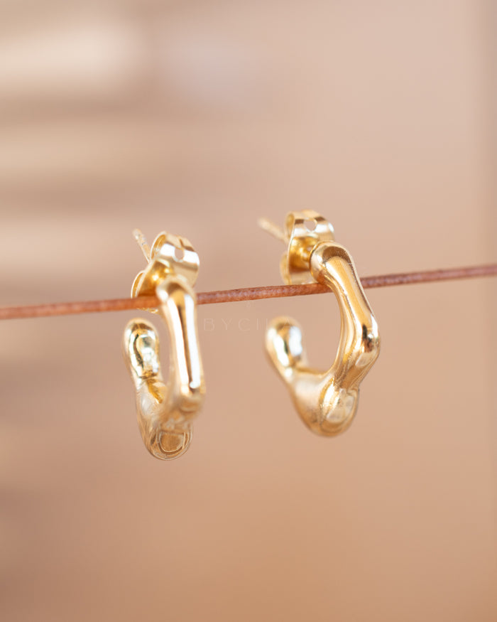 Cleni Earrings * Gold Plated * BJE228