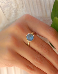 Marcela Ring * Rainbow Labradorite * Gold Plated 18K * SBJR105